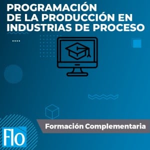 PROGRAMACIÓN DE LA PRODUCCIÓN EN INDUSTRIAS DE PROCESO Flo Formación