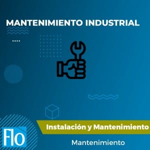 MANTENIMIENTO INDUSTRIAL Flo Formación