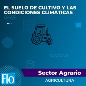 EL SUELO DE CULTIVO Y LAS CONDICIONES CLIMÁTICAS Flo Formación