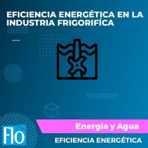 EFICIENCIA ENERGÉTICA EN LA INDUSTRIA FRIGORIFÍCA Flo Formación