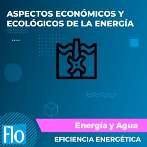 ASPECTOS ECONÓMICOS Y ECOLÓGICOS DE LA ENERGÍA Flo Formación