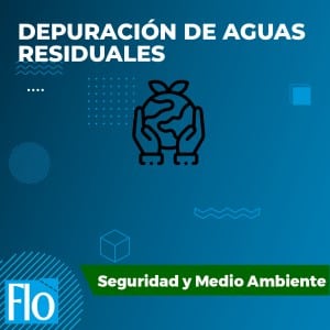 DEPURACIÓN DE AGUAS RESIDUALES Flo Formación