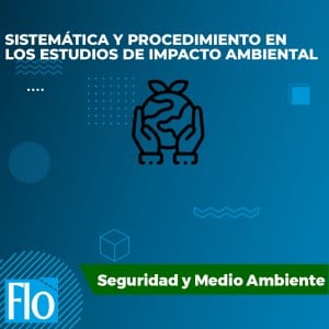 SISTEMÁTICA Y PROCEDIMIENTO EN LOS ESTUDIOS DE IMPACTO AMBIENTAL Flo Formación